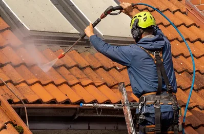 Démoussage et hydrofuge de toiture à Dolomieu